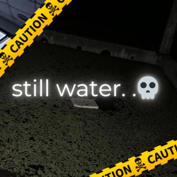 Still Water