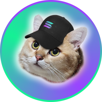 CatSolHat