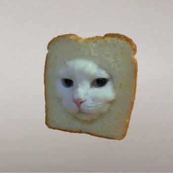 CatWifBread