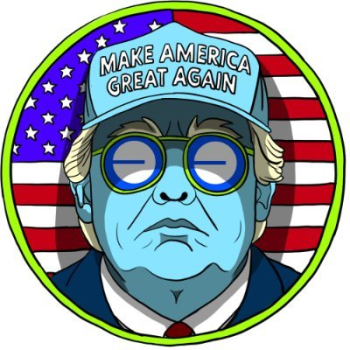 TRUMPS HAT