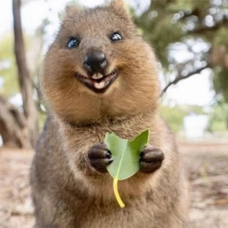 World's Happiest Animal