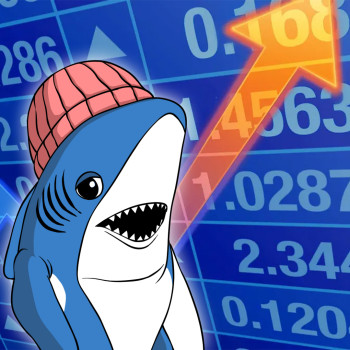 Shork Wif Hat