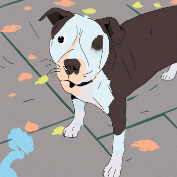 THE RESCUED POOCH