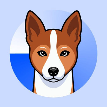 basenji-3