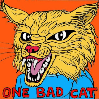 One Bad Cat