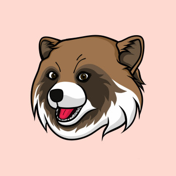 Raccoon Dog