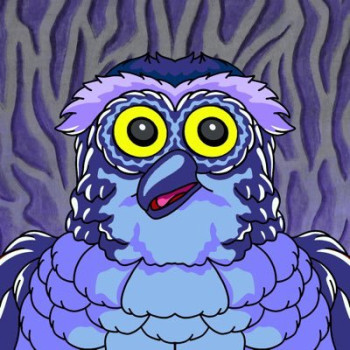NightOwL