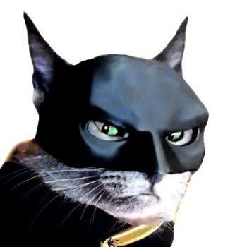 batcat-8