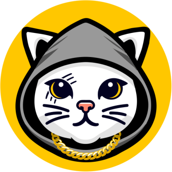 Cat in Hoodie