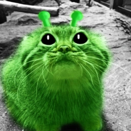 gloop