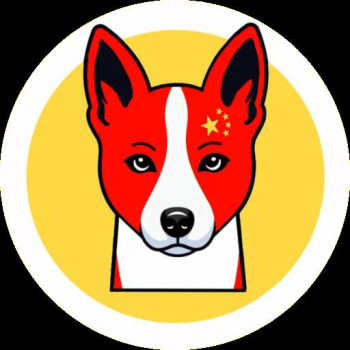 Chinese Basenji
