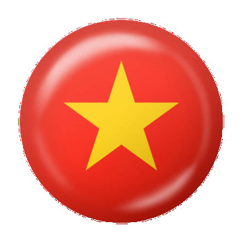 Vietnam Coin