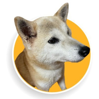 Izumi