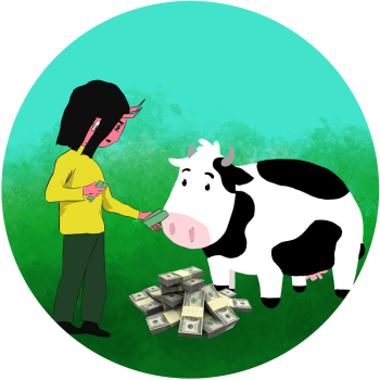 cow-8
