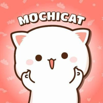 Mochi Cat