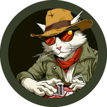 Gambler cat