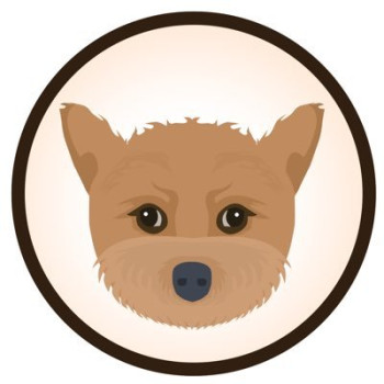 Trumpington Terrier