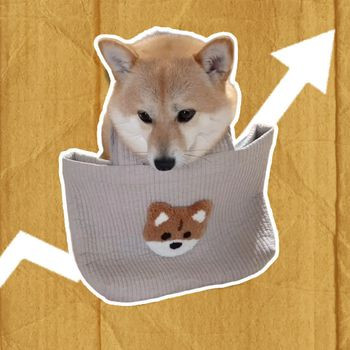 Doggy Bag