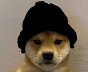Dog Wif Black