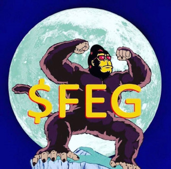 FEG