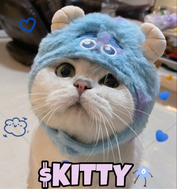 KITTY