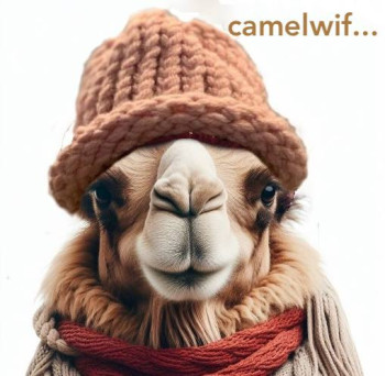 camelwif