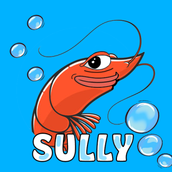 sully-the-shrimp