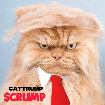 CatTrump