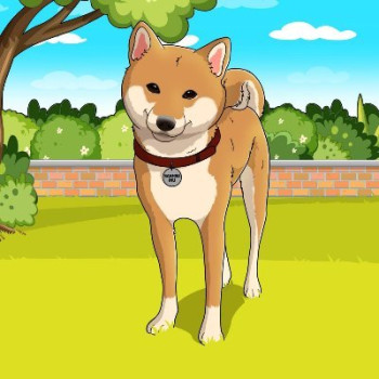 Sanshu Inu