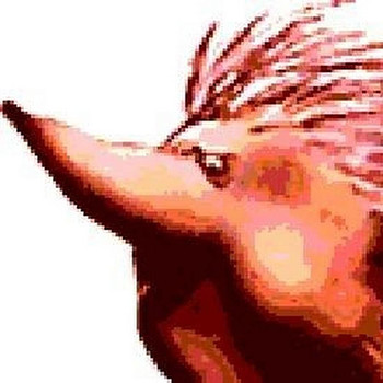 SPINY NORMAN GME MASCOT