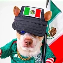 Chuckythedoggy