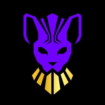 sphynx-labs-2
