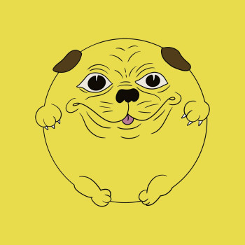 Beppy the Doge