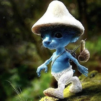 Real Smurf Cat-шайлушай