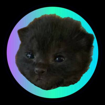 THE ITTY BITTY KITTY