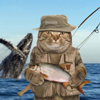 Master Baiter Cat
