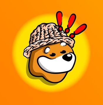 bonkwifhat