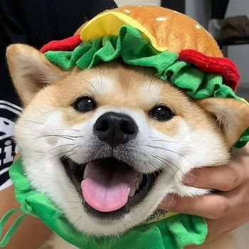 DID SOMEONE ​SSSAY, BuRgErS?