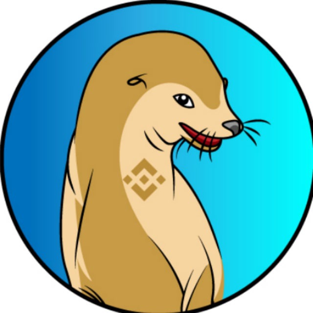 Coin logo