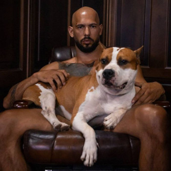 PITBULL G