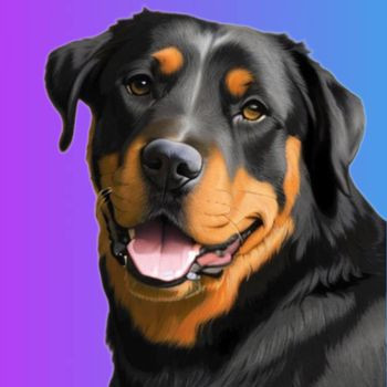 Rottweiler