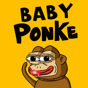 Baby Ponke