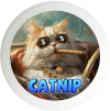 Catnip