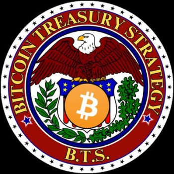 Bitcoin Treasury Strategy