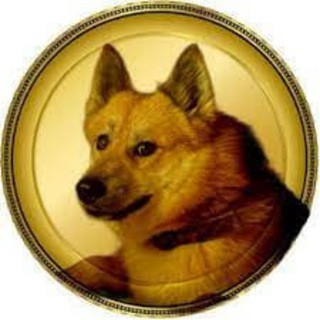 Caesar Doge 2