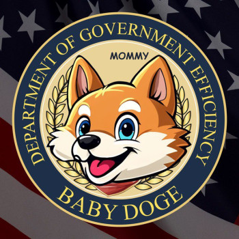 Baby Department Of Government Efficiency