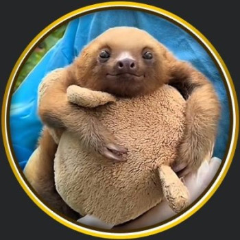 Molé