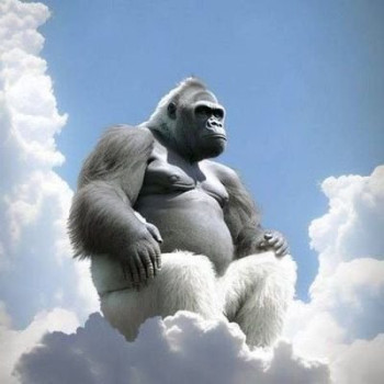 Harambe Token