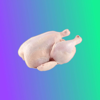 Raw Chicken Experiment