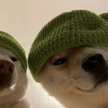 shiesty dogs 